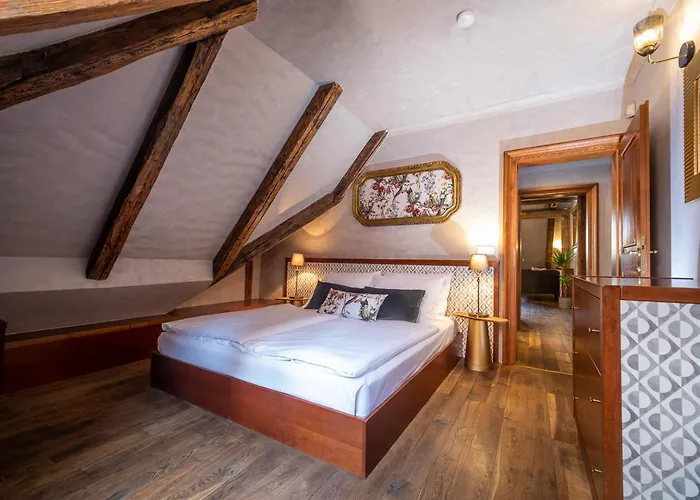 Miss Sophie's Charles Bridge מלון 4*