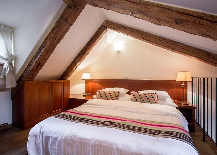 Miss Sophie's Charles Bridge 4* Praga